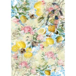 Decoupage: A4 Rice Paper - DDD - Lemon Woods