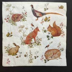 Napkins: Napkin - Wild Forest Animals
