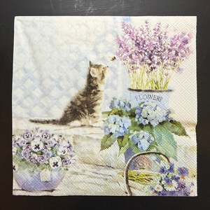 Napkin - Kitten