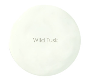Matte Estate Premium Wall Paint: Wild Tusk - Matte Estate