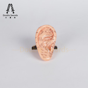 Products: Ear Model (English version) Double Swords