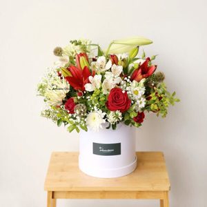 Boxed Love – Christmas Garden – Christchurch Christmas Flowers