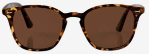 Sunglasses - The Chelsea - Tortoise