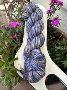 Dyemaster's Special