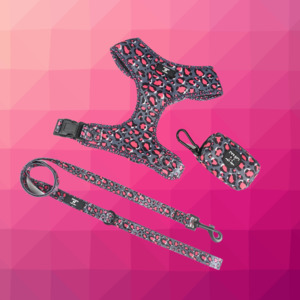 Collars: Harness + Lead + Poo bag holder Bundle Mix & Match