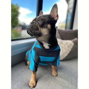 Pooch Wear: Merino Tee - Blue & Grey Stripe