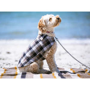 Soft Top - Walking Coat - Navy & Tan check