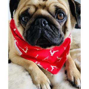 Clothes By Portia - Christmas Bandana - Racing Reindeers