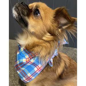 Boss + Boo - Sir Humphrey Bandana