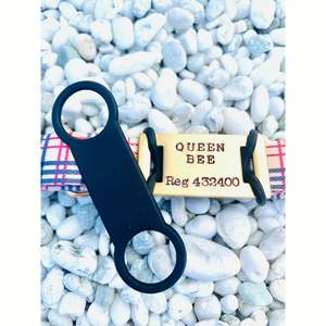 Collars 1: Dream Adventure Tag & Collar Bundle