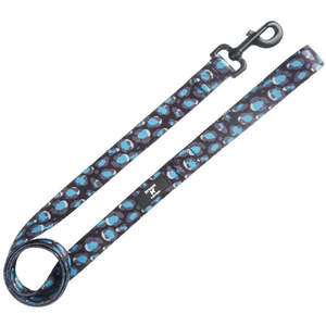 Leads: Snow Leopard - Lead