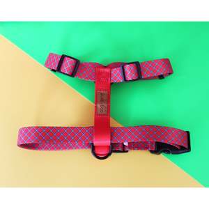 Harnesses: Boss + Boo - The Royal Harness