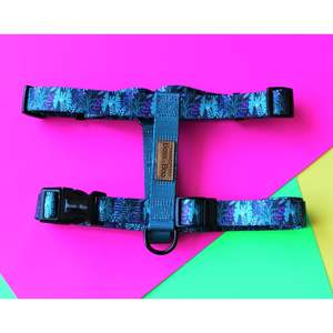 Harnesses: Boss + Boo - Secret Garden Harness