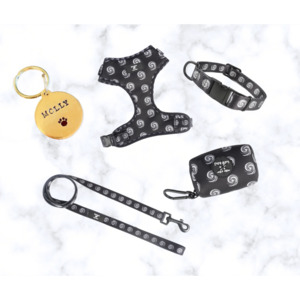 Dream Dog Designs Collection: Dream Deluxe Bundle - 5 Designs to Choose From