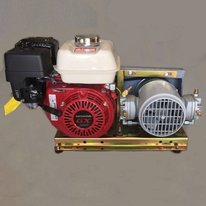 Honda GX200 Engine & Keene Water Pump & 263 Compressor