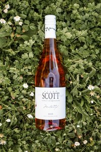 Allan Scott Marlborough Pinot Noir Rose 750mL