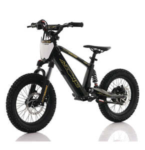 AZONIC Flow 16 (AZF-16) - Electric Balance Bike