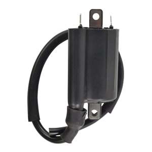 Full Price: External Ignition Coil for Kawasaki & Honda Models