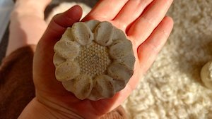 All Natural Rosehip Husk Soap. luxuriously crafted to moisturise and cleanse ski&hellip;