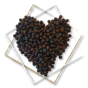 Juniper Berry d: STIL Project