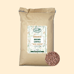 Brown Lentils Organic 25kg - DTE Foods