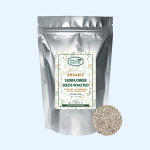 Bulk: Sunflower Seeds Organic 3kg - DTE Foods