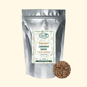 Bulk: Caraway Seeds Organic 3kg - DTE Foods