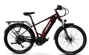 Wattwheels Trike LS XT