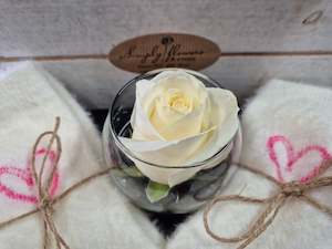 Valentines Day: Snuggles and kisses