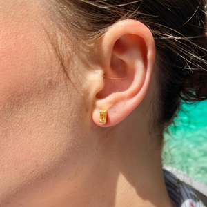 Siniu Earrings Citrine