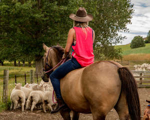 Top: Shearer's Singlet - Turquoise and Watermelon Pink