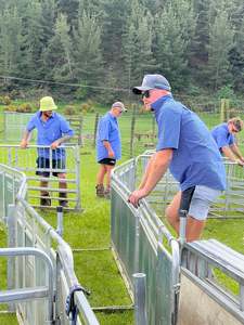 Summer Drop 2025: Tussock Short Sleeve Shirt - Blue