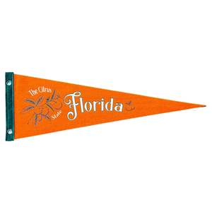 Town Pennants: Florida Pennant | Travel Felt Pennant Flag Banner | Vintage Style | Wall Decor