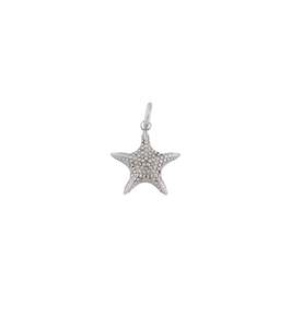 Charm Starfish Steel