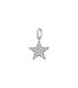 Charm Star Sparkle Steel