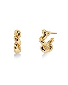 Spiral Hoops S Gold