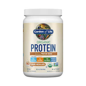 Plant Protein: Garden of Life Organ Vegan Protein 1LB - Caramel Mocha Latte