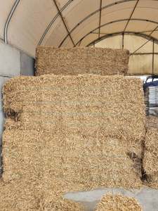 Pea Straw Bale