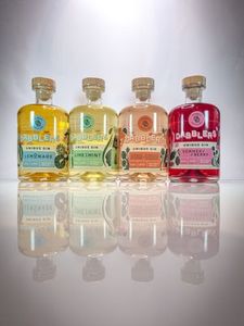 Products: Dabblers Gin Party Pack