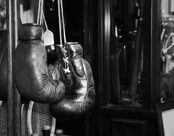 Day Pass: Martial Arts + Gym + Sauna - art of combat