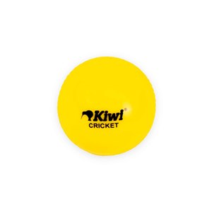 Cricket: Junior Cricket Ball