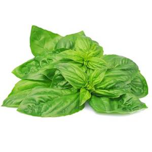 Local Produce: Aquaponics Basil (Per/Each)