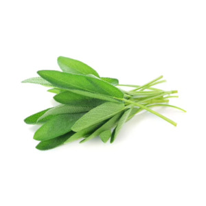 Local Produce: Aquaponics Sage (Per/Each)