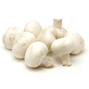 Mushroom Button (Per/ Kg)