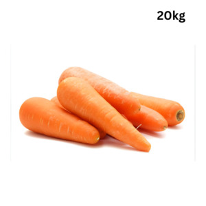 Carrot (Standard) x 20kg carton