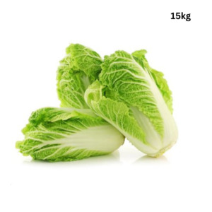 Local Fresh Fruit Vegetables: Cabbage Wombok x 15+ kg carton