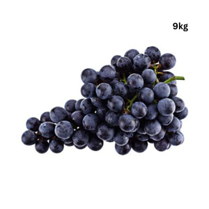 Fresh Produce: Grapes (Black-Seedless) x 9kg+ CTN