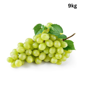 Grapes Green x 9kg CTN
