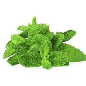 Fresh Mint (50g Bunch)
