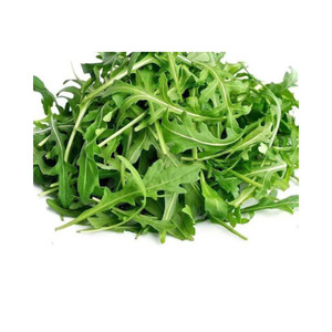 Aquaponics Rocket wild Leaf (Per/Each)